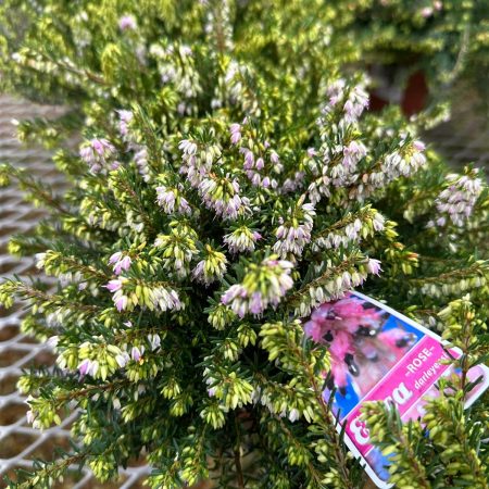 831c87d7-1f5c-48e2-9973-bf9bb51d48fc