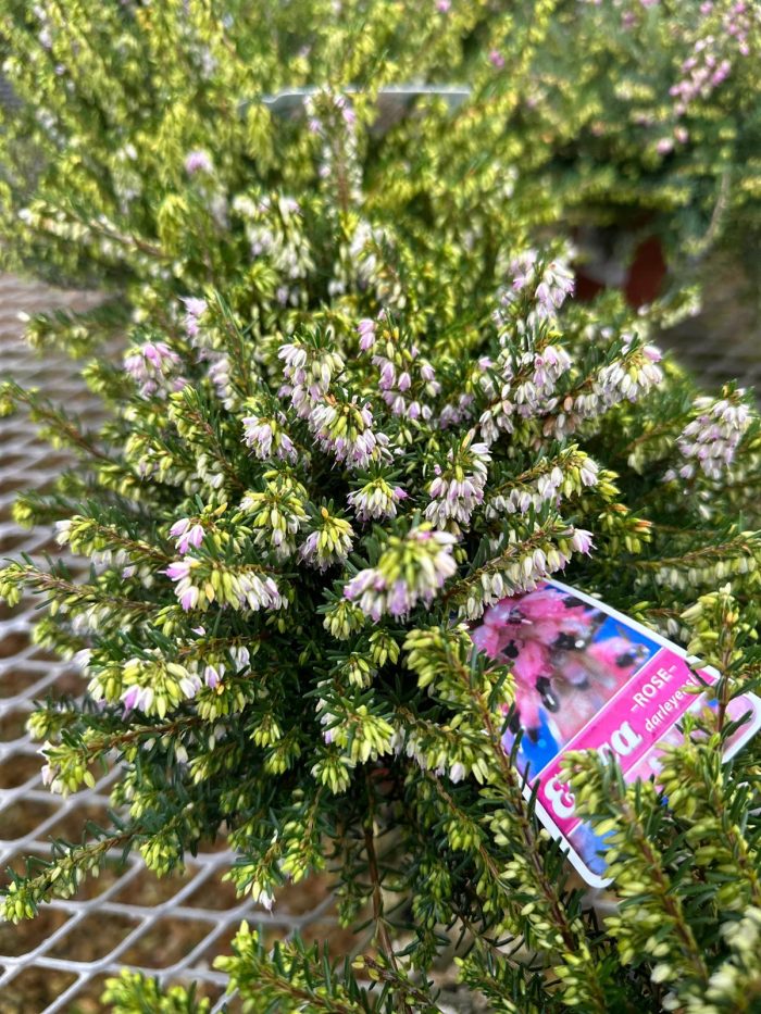 831c87d7-1f5c-48e2-9973-bf9bb51d48fc