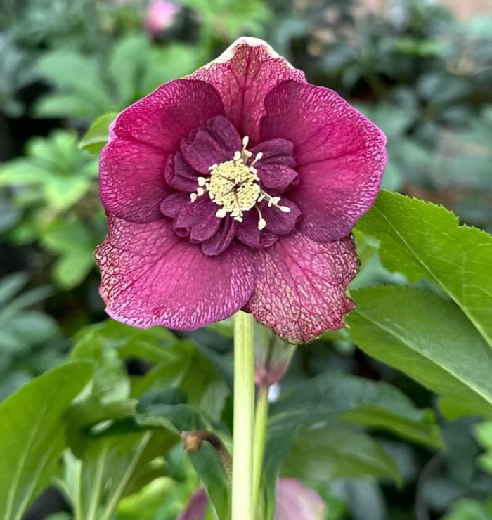 e33b0f73-ae3e-4f2a-a266-fc90a1fd6cb0