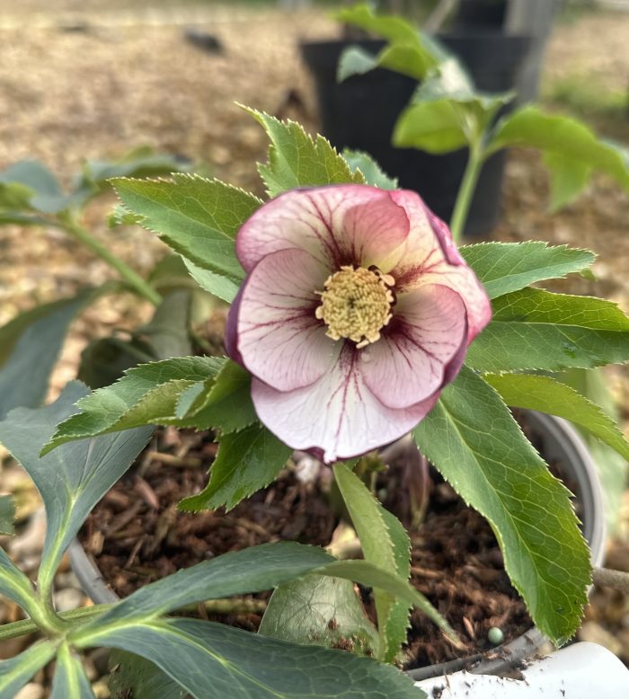 4339a5ea-38cb-4e38-bf56-a11e0db9f26a