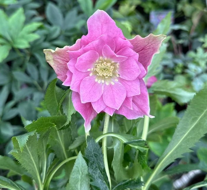 3437a411-aefb-455d-bd7c-6a6080aa6f2a